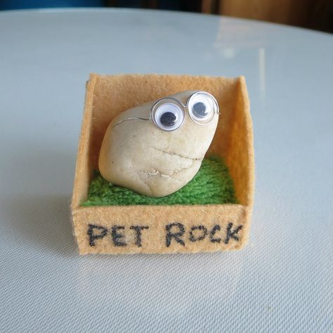 Small Stones Crafts, Pet Rock Ideas Diy, Rock Pet Ideas, Small Christmas Gifts Ideas, Diy Gifts Family, Pet Rock House, Easy Craft Ideas To Sell, Small Stone Art, Diy Things To Make And Sell