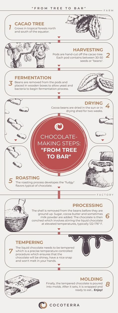 Have you ever stopped to wonder how chocolate is actually made? The chocolate-making process is a fascinating blend of art and science. It’s pretty complicated, but we’ve broken it down into 8 easy-to-understand steps. Check it out! Link 👉🏻🔗 https://www.cocoterra.com/how-to-make-chocolate/ Chocolate Production Process, Chocolate Making Process, Chocolate Infographic, School Presentation Ideas, Chocolate Store Design, Daim Bar, Chocolate Activities, Chocolate School, Cocoa Tree