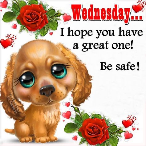 Hope you have a great Wednesday wednesday quotes wednesday blessings wednesday quotes and sayings wednesday images Wednesday Pictures, Quotes Career, Quotes Sunday, Inspirational Friend Quotes, Hug Pictures, Happy Thursday Images, Wednesday Greetings, Quotes Good, Quotes Successful