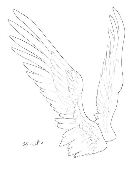 Feathers Reference, Angel Base Drawing, Angel Wings Tutorial, Wing Reference, Wings Reference, How To Draw Wings, Wing Anatomy, Wings Feathers, Wings Sketch