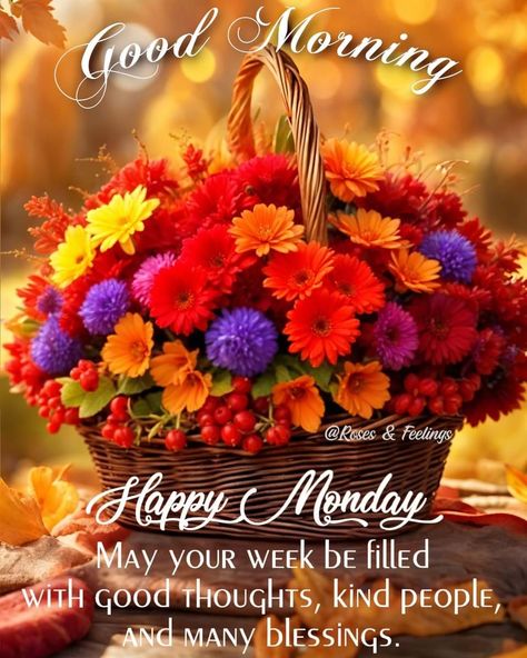 New Week Blessings, Monday Blessings New Week, Blessed Monday, Monday New Week, Good Morning Prayer Quotes, Week Blessings, Have A Blessed Week, Good Morning Happy Saturday, Blessed Week