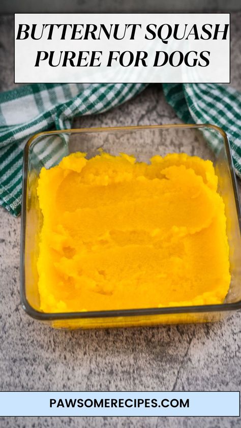 Butternut Squash Puree for Dogs Butternut Squash For Dogs, Squash Dog Treats, Butternut Squash Dog Treats, Recipe Using Butternut Squash, Fiber For Dogs, Salmon Dog Treats, Squash Puree, Butternut Squash Puree, Cat Recipes