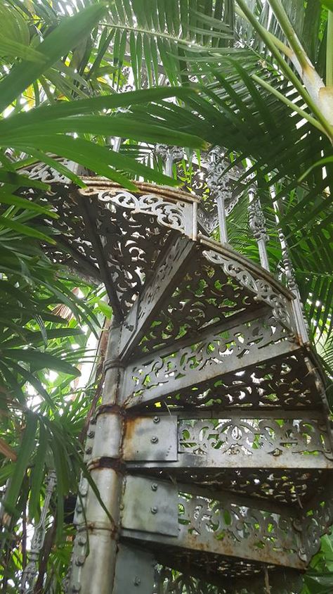 Prague Botanical Garden, Edinburgh Botanic Gardens, Glasgow Botanical Gardens, Glasgow Botanic Gardens, Christchurch Botanic Gardens, National Botanic Gardens Dublin, Glasgow City, Urban Oasis, Spiral Staircase