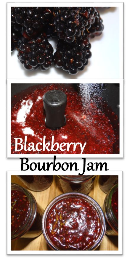 Wild Blackberry Bourbon Jam #Recipe (includes a FreshTECH Tutorial) Jam Maker Recipes, Ball Fresh Tech Jam And Jelly Maker Recipes, Jelly Maker, Jam Maker, Blackberry Recipes, Canning Jam, Jam And Jelly, Vegetable Drinks, Jelly Recipes