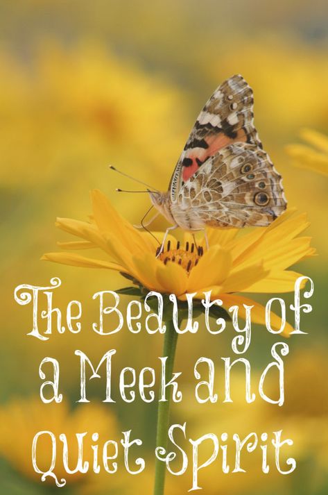 The Beauty of a Meek and Quiet Spirit Meek And Quiet Spirit, Bible Study Apps, The Transformed Wife, The Good Wife's Guide, Christian Reminders, Quiet Spirit, Biblical Advice, Eshet Chayil, Proverbs Woman