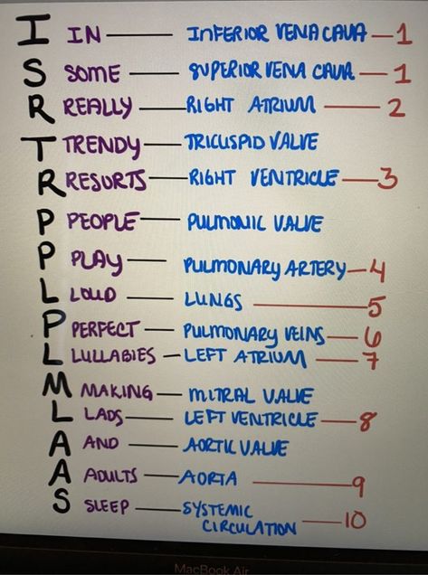 Anatomy And Physiology Cardiovascular System, Heart Anatomy And Physiology, Heart Mnemonics, Coronary Circulation Flow Chart, Heart Physiology Notes, Heart Notes Anatomy, Blood Flow Through The Heart Mnemonic, Flow Of Blood Through The Heart, Heart Function Circulatory System