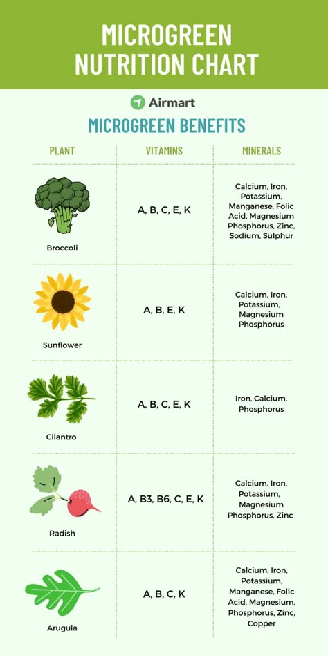 microgreen nutrition chart How To Grow Microgreens, Microgreens Garden, Microgreens Recipe, Grow Microgreens, Micro Garden, Nutrition Chart, Growing Microgreens, Nutritional Therapy, Where To Sell