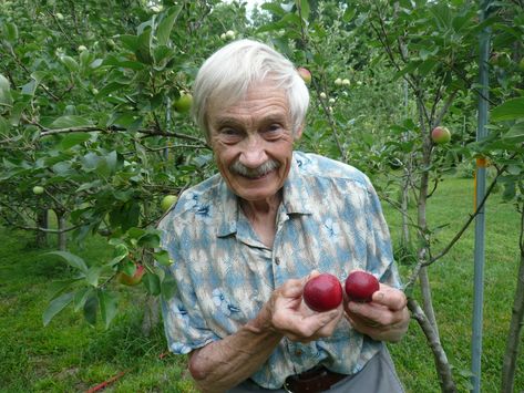 “These apples were going to be soon lost if I didn’t get busy and try to save them,” said Tom Brown, who has located more than 1,200 varieties of apples. Types Of Apples, Apple Plant, Tom Brown, Apple Types, Apple Varieties, Old Orchard, Fall Fruits, Travel Industry, Pink Lady