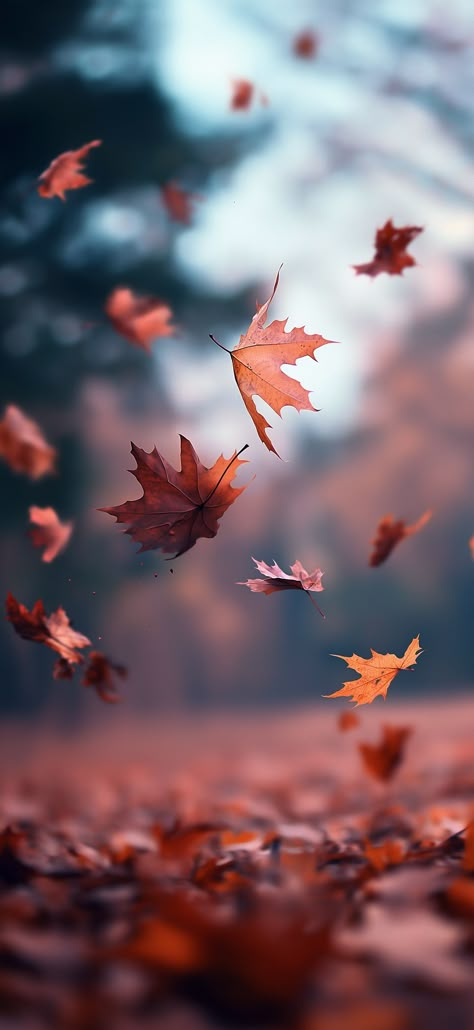 Nature Wallpapers Aesthetic, Autumn Phone Wallpaper, Leaves Photography, Hd Nature Wallpapers, Iphone Wallpaper Fall, Nature Wallpapers, Beautiful Wallpaper For Phone, Anime Backgrounds, Flower Iphone Wallpaper