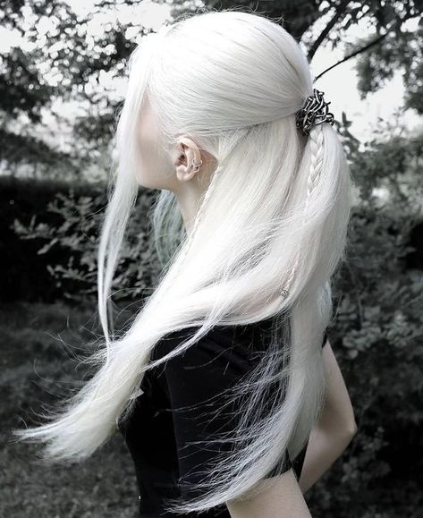 White Hair Aesthetic, Era Victoria, Long White Hair, Hair Aesthetic, Hair Reference, White Hair, Pretty Hairstyles, Hair Colors, Hair Goals