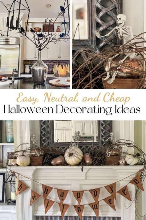 Looking for ways to decorate for Halloween that are tasteful, not tacky? I'm keeping it spooky chic with classy, elegant ways to decorate the dining room, kitchen, and family room. Gothic Dining Room, Halloween Themed Food, Decorate For Halloween, Cheap Halloween Decorations, Classy Halloween Decor, Spooky Chic, Classy Halloween, Halloween Decor Ideas, Chic Dining Room