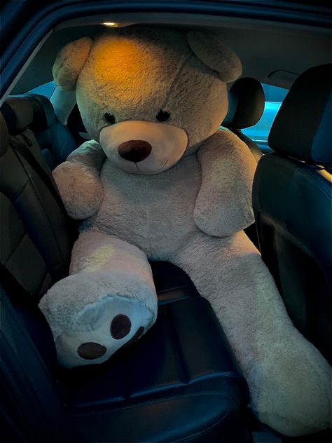 Large Teddy Bear, Big Teddy Bear, Big Teddy, Giant Teddy Bear, Teddy Bear Wallpaper, Giant Teddy, Soft Teddy Bear, Cute Stuffed Animals, Birthday Wishlist