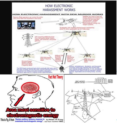 Gang Stalkers, Technopathy Power, Electromagnetic Field Human, Sci Fi Antenna, Teaching Government, Signal Transduction, Electromagnetic Field, Data Science Learning, Hearing Voices