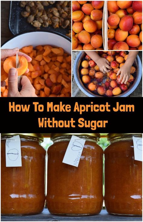 Turn your apricots into this delicious jam without sugar. Keto Apricot Recipes, Sugar Free Apricot Jam Recipe, Keto Jam, Apricot Jam Recipe, Sugar Free Jam Recipes, Apricot Jam Recipes, Cheap Diet, Roasted Pineapple, Apricot Recipes