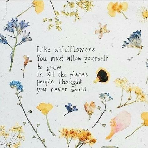 Like wildflowers You must allow yourself to grow in all the places people thought  you never would. 🌱🌱 A Quote, الرسومات اللطيفة, Pretty Words, Cute Quotes, Beautiful Quotes, The Words, Matilda, Beautiful Words, Inspirational Words