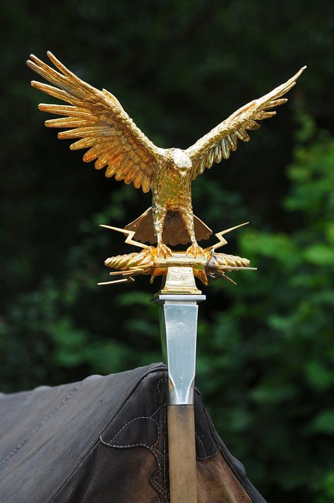 Aquila - Roman Imperial Gold Eagle Standard Pax Romana, Camp Jupiter, Roman Warriors, Roman Legion, Theme Tattoo, Rome Antique, Ancient Warfare, Roman Soldiers, Gold Eagle