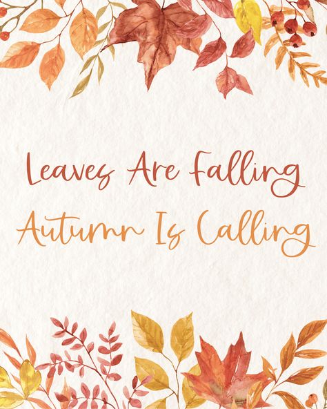 These 8x10 free fall printables will give your home an autumn touch. From fall subway art to buffalo check pumpkin art, there are plenty of fall printables to frame and add to your fall decorations and home decor. Fall 8x10 Printables, Fall Stencils Free Printable, Diy Fall Wall Art, Free Fall Printables 8x10, Free Printable Fall Wall Art, Fall Printables Free Autumn, Fall Printables Free, Autumn Pattern, Fall Sayings