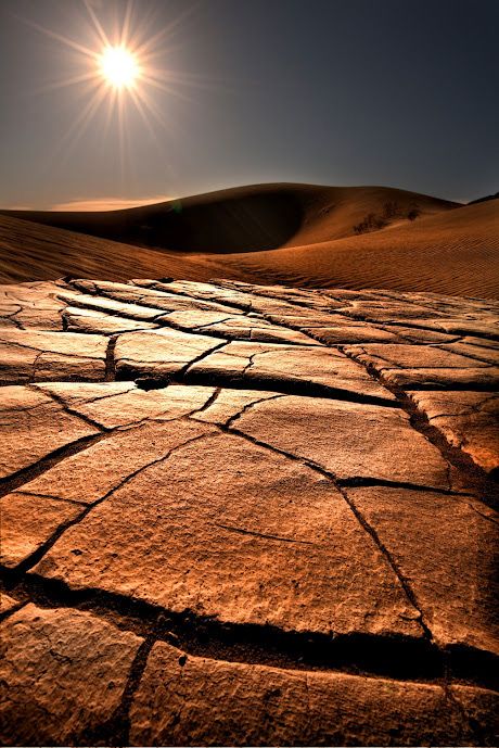 Dry Desert Landscape, Desert Scenes Landscapes, Desert Images, Burning Sun, Landscapes Photography, Deserts Of The World, Dry Desert, Deco Wallpaper, Desert Scene