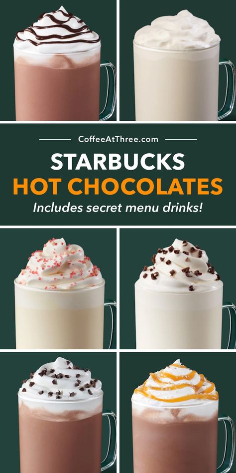 12 Starbucks Hot Chocolates (Includes Secret Menu Drinks) Starbucks Hot Chocolate Copycat, Hot Starbucks Secret Menu Drinks, Starbucks Hot Chocolate Secret, Secret Starbucks Recipes Hot Coffee, Flanders Hot Chocolate, Starbucks Sweet Hot Drinks, Starbucks Frozen Hot Chocolate, Starbucks Hot Chocolate Drinks, Hot Drink Starbucks