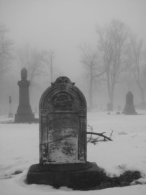 Dead Aesthetic Pictures, Blythe Aesthetic, Demonic Art, Old Cemetery, Vampire Aesthetic, Cemetery Headstones, Old Cemeteries, Cemetery Art, Gothic Aesthetic