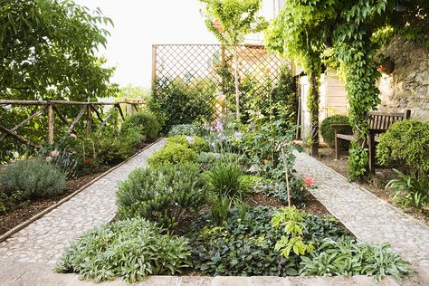 A Plant-Filled Trellis Parterre Garden, Rustic Pergola, Sensory Garden, Edwardian House, Starting A Garden, Italian Garden, Mediterranean Garden, Landscaping Tips, Edible Plants