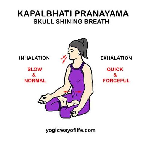 Pranayama for Glowing Skin - Yogic Way of Life Yoga Hosers, Bhastrika Pranayama, Yoga Pranayama, Sudarshan Kriya, Yoga Breathing Techniques, Ashtanga Yoga Primary Series, Yoga Mudra, Yoga Mudras, Pranayama Techniques