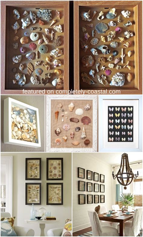 Enjoy the shells you collected on the beach as shell wall art. How to organize and arrange your shells in frames. Creative ideas for DIY shell wall art and interior room designs with shell art. Featured on Completely Coastal. Recycle Center, Diy Interior Doors, Shell Wall Art, Diy Furniture Repurpose, Diy Entertainment, Seashell Wall Art, Seashell Projects, Shells Diy, Furniture Repurpose