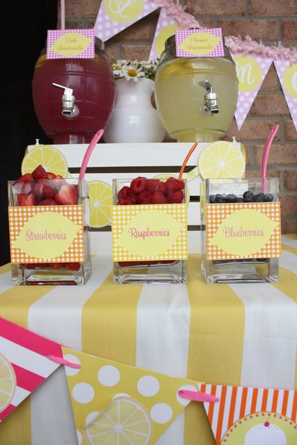 Lemonade Stand Party Theme  Cute idea for a baby shower--but use the already sliced frozen strawberries in syrup way yummier Lemonade Stand Birthday, Lemonade Stand Party, Lemonade Bar, Pink Lemonade Party, Lemonade Party, Summer Baby Shower, Baby Shower Brunch, Shower Bebe, Lemonade Stand