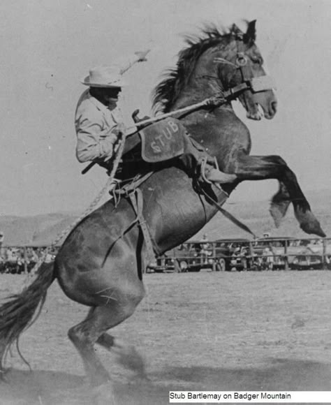 Stub Bartlemay a world's champion saddle bronc rider Cowboy Horse Riding, Bronc Horse, Cowboy On Horse Reference, Horse Bucking, Horse Bucking With Rider, Cowboy With Horse, Saddling A Horse, Horse Appaloosa, Cowboy On A Horse