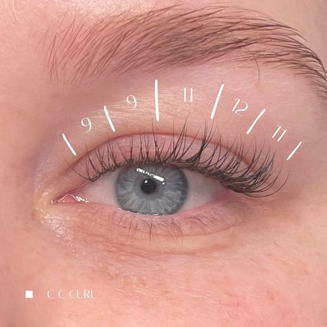 Swipe to see mapping 🥰 My client wanted to go with a kitten eye to enhance her features & that is what we gave her 💙… | Instagram Lash Map Round Eyes, Lash Extension Hooded Eyes, Kitten Eye Lashes, Kitten Eye Mapping, Lash Maps Natural, Kitten Eye Lash Extensions, Natural Lash Cluster Map, Natural Lash Mapping, Kitten Lash Extensions