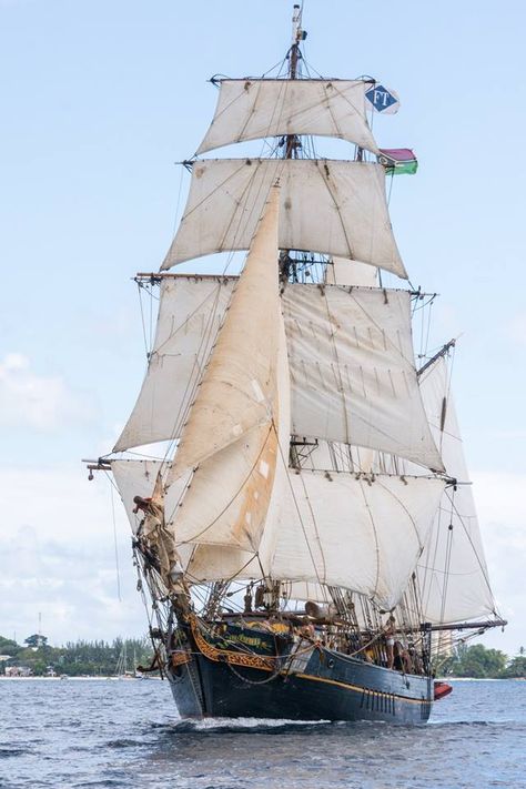 “TRES HOMBRES” is a (104.9') 2-Masted Dutch Brigantine – Built in 1943 as KFK368 'Seeadler' a Minesweeper - it was Converted to an All Sailing Ship in 2008 – Used as a 'Sail Only' Cargo Ship Sailing Between European Ports and the Islands in the Atlantic, the Caribbean and the Americas – Cew of 5 and up to 8 Pupils/Trainees (1) Brigantine Ship, Hms Hood, Ship Sailing, Old Sailing Ships, Cargo Ship, Sailing Vessel, Wooden Ship, Cargo Shipping, Tall Ships