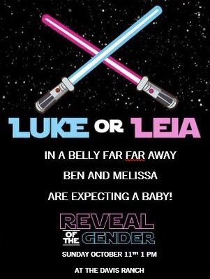 Star Wars Gender Reveal Invitations, Luke Or Leia Gender Reveal, Star Wars Themed Gender Reveal Party, Lotr Gender Reveal, Lightsaber Gender Reveal, Disney Themed Gender Reveal Ideas, Star Wars Themed Gender Reveal, Star Wars Gender Reveal Decorations, Gender Reveal Ideas Star Wars