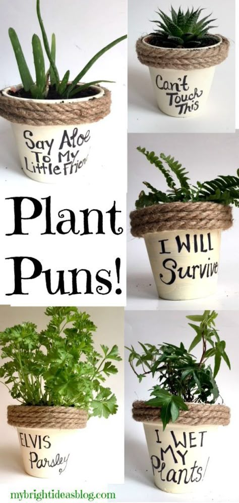 Plants In Pots, Plant Puns, نباتات منزلية, Painted Flower Pots, Mason Jar Crafts Diy, Terracotta Planter, Terraria, Bright Ideas, Mason Jar Diy