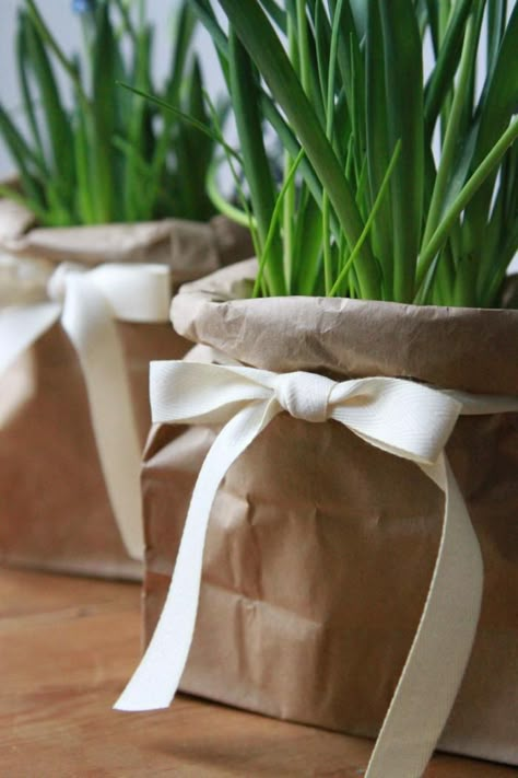 The equivalent of a little black dress: a brown paper bag hides a plastic black pot ; Gardenista Cheap Wedding Centerpieces, Paper Bag Crafts, Tafel Decor, Spring Centerpiece, Brown Paper Packages, Brown Paper Bag, Easter Decorations Diy Easy, Deco Floral, Plastic Pots