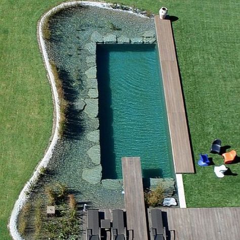 Natural Swim Pond. NO chemicals and clear, safe water! The pool of the future. Swim Pond, Pool Natural, Swimming Pool Pond, Swimming Ponds, Natural Swimming Ponds, Swimming Pond, Natural Pond, Natural Swimming Pools, Natural Swimming Pool