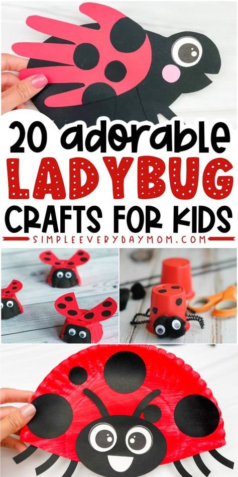 20 Unbelievably Cute Ladybug Crafts for Kids Lady Bug Toddler Project, Ladybug Crafts For Toddlers, Ladybird Crafts For Kids, Diy Ladybug Decorations, Ladybug Crafts Preschool, Insect Crafts Preschool, Ladybug Crafts For Kids, Insects Crafts, Ladybugs Preschool