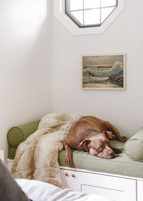 Embrace your funny little nooks by building your own window seat with built-in storage! Cushion and bolster pillows done in Sunbrella Heritage Leaf by Patio Lane. Barkitecture Ideas, Dog Bed With Storage, Built In Dog Bed, Dog Nook, Dog Bed Storage, Raised Dog Beds, Pallet Dog Beds, Pet Room, Yellow Brick Home