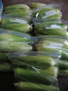 Freezing Corn On The Cob, Freezing Fresh Corn, Freezing Corn, Freezing Vegetables, Freezing Fruit, Canned Food Storage, Frozen Veggies, Corn Recipes, Corn On The Cob