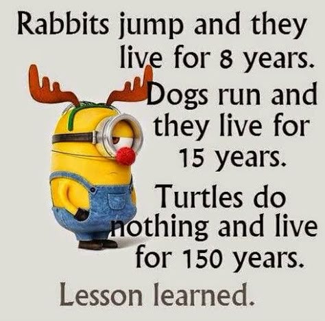 Minion Humor, Funny Minion Pictures, Funny Minion Memes, Minion Memes, Minion Pictures, Minion Jokes, A Minion, Funny Minion Quotes, Minions Quotes