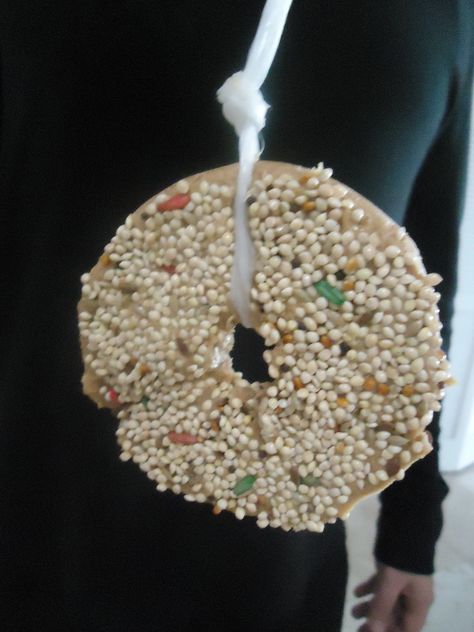 Pretty Cool Preschool: Bagel Bird Feeder Bird Seed Ornaments, Bird Feeder Craft, Easy Bird, Easter Preschool, Diy Bird Feeder, Spring Birds, Spring Preschool, Diy Birds, Winter Preschool