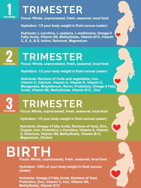 Healthy Pregnancy Diet, Pregnancy Eating, Healthy Pregnancy Food, Pregnancy Help, Pregnancy Info, 1st Trimester, Pregnancy Information, Pregnancy Nutrition, Pumping Moms