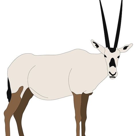 Desert Oryx Desert Animal Tattoo, Arabian Oryx Drawing, Oryx Logo, Desert Animals Illustration, Arabian Desert Art, Arabian Oryx, Uae National Day, National Symbols, School Activity