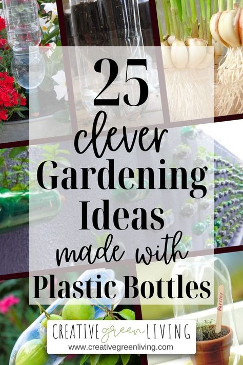 25 clever gardening ideas made with plastic bottles from Creative Green Living at www.creativegreenliving.com Uses For Plastic Bottles, Bottle Gardening, Plastic Bottle Greenhouse, Recycled Garden Planters, Plastic Bottle Planter, Room Divider Ideas, Recycle Water Bottles, Vegetables Garden, Fruit Picker