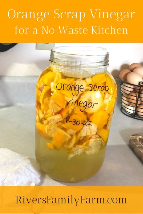 Fruit Scrap Vinegar, Fermented Oranges, Orange Peel Vinegar, Orange Vinegar, Make Vinegar, Food Fermentation, Scented Vinegar, Natural Cleaning Supplies, Lacto Fermented