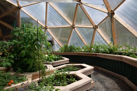 42 Foot Growing Dome Greenhouse Kit — Arctic Acres - Geodesic Growing Dome Greenhouses Growing Dome Greenhouse, Geo Dome Greenhouse, Geodome Interior, Cafe Greenhouse, Geodome House, Hexagon Building, Geodome Greenhouse, Growing Dome, Hexagon Garden