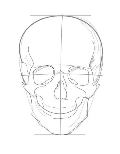 How to draw a skull with a pencil step-by-step drawing tutorial Human Skull Drawing Sketches, Skull Drawing Tutorial Step By Step, How To Draw Skulls Step By Step, Parts Of The Skull, Skull References, Human Skull Drawing, Skull Drawing Sketches, Draw A Skull, Neha Choudhary