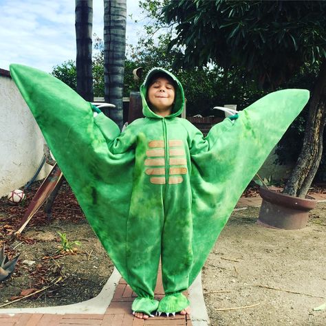 Flying dinosaur, pterodactyl costume. When your kid asks to be a pterodactyl for Halloween 😜 He loved it, he was in full imagination mode “flying” around the yard! People stopped him to take a picture with him!! Adult Dinosaur Costume Women, Pterodactyl Costume, Kid Costume Ideas, Diy Dinosaur Costume, Dinosaurs Before Dark, Kid Halloween Costumes, Adult Dinosaur Costume, Kid Costume, Halloween 23