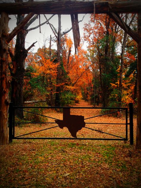 Fall in Mt. Vernon, Texas Autumn In Texas, Texas Nature, Fall In Texas, East Texas, Texas Life, Republic Of Texas, Texas Decor, Only In Texas, Texas Forever