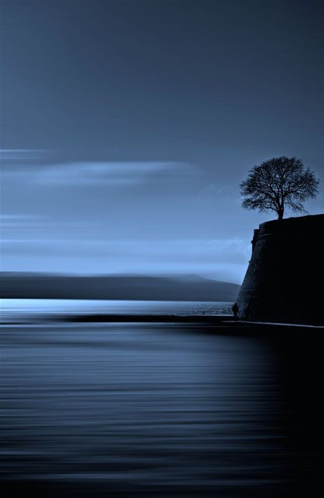 Lone Tree, The Blues, Beautiful Photography, Amazing Nature, Serbia, Beautiful World, Beautiful Landscapes, Wonders Of The World, Beautiful Images