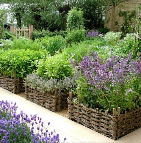 15 Unique and Beautiful Container Garden Ideas - Sanctuary Home Decor Herb Garden Planter, Outdoor Herb Garden, Herb Garden Design, Herb Gardens, Garden Vines, Vegetable Garden Design, Garden Care, Gorgeous Gardens, Garden Layout